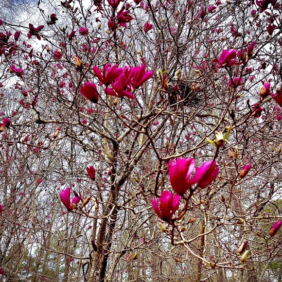 Meet your Posher, Angel - Picture 6 of 7